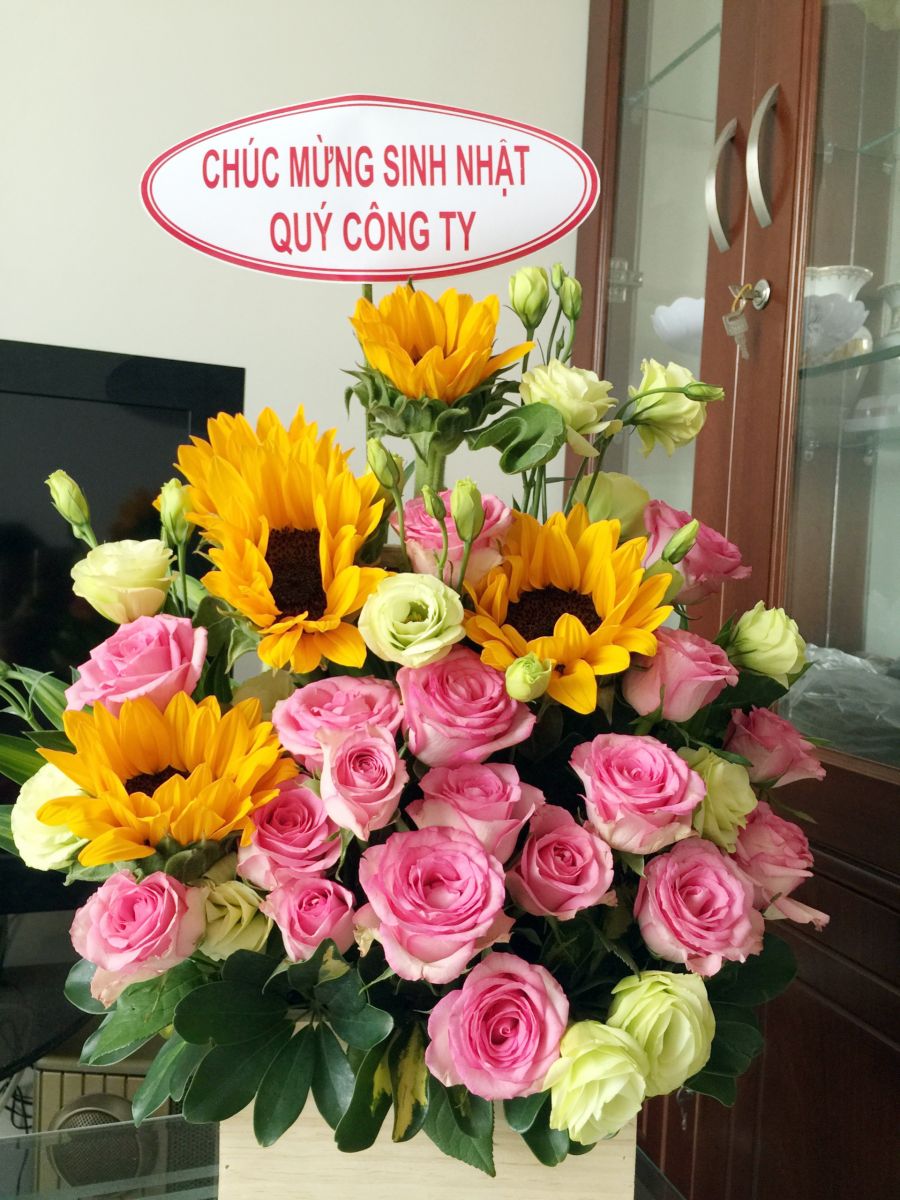 905145de07ebe9b5b0fa