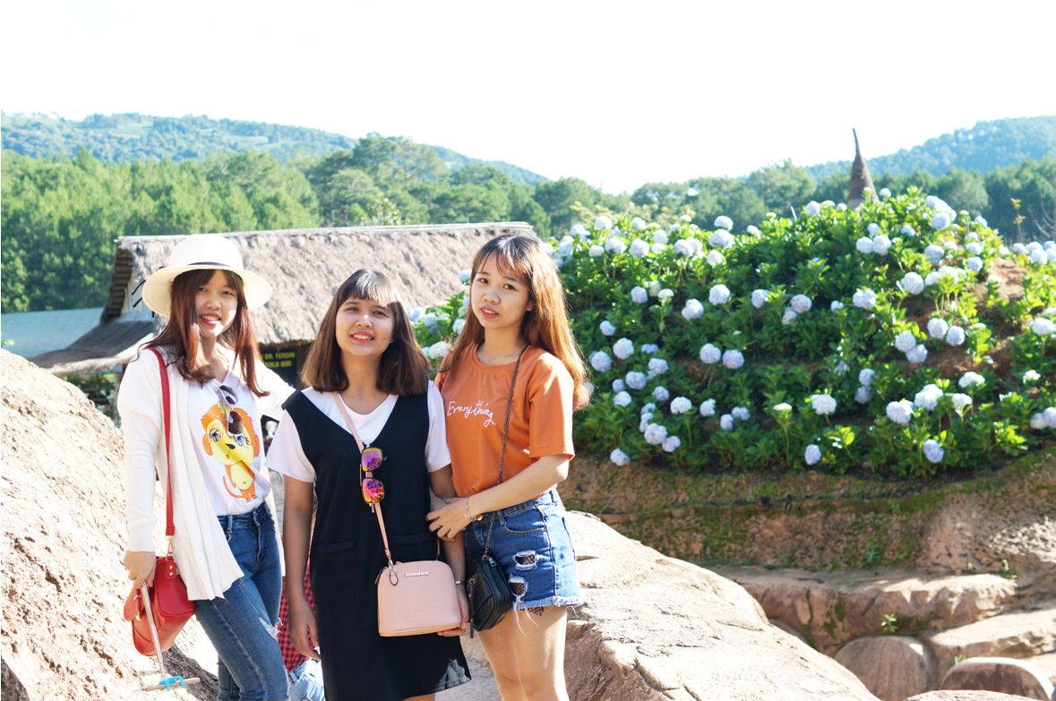 Thiếu nữ bên vườn hoa cẩm tú cầu